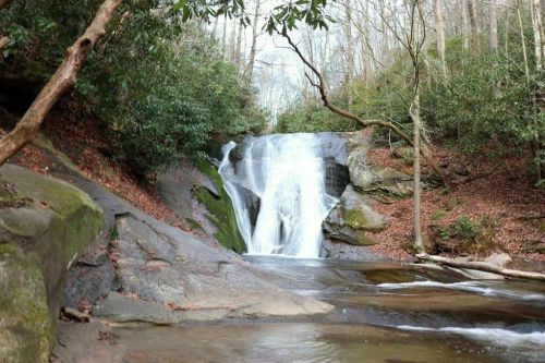 A serene waterfall cascades over rocks, surrounded by lush greenery and trees in a tranquil forest setting.