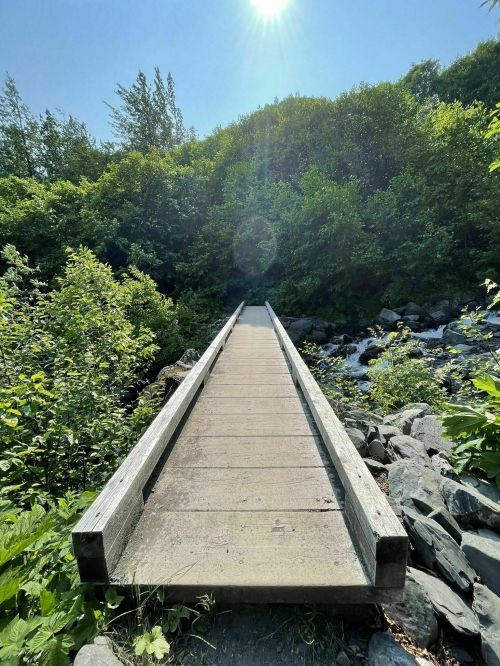 A wooden bridge leads through lush greenery, with sunlight shining above and a stream visible on the side.