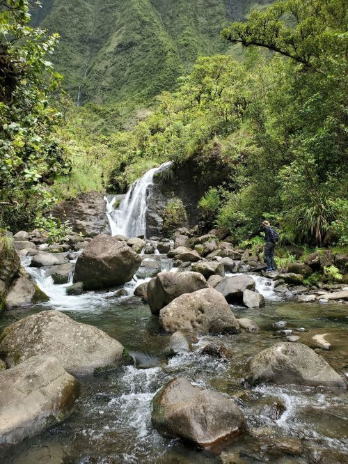 A serene landscape featuring a waterfall cascading over rocks, surrounded by lush greenery and a person standing nearby.