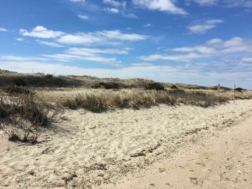 A sandy beach with sparse vegetation and rolling dunes under a partly cloudy sky.