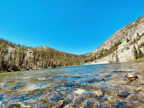 A clear lake surrounded by mountains and dense forest under a bright blue sky.