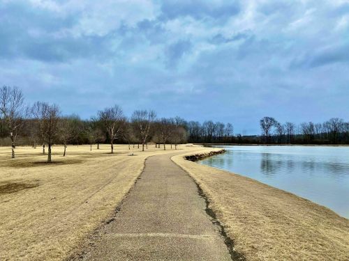 A winding path beside a calm river, surrounded by bare trees and grassy areas under a cloudy sky.