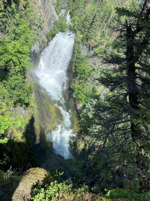 A cascading waterfall surrounded by lush greenery and rocky cliffs, with sunlight filtering through the trees.