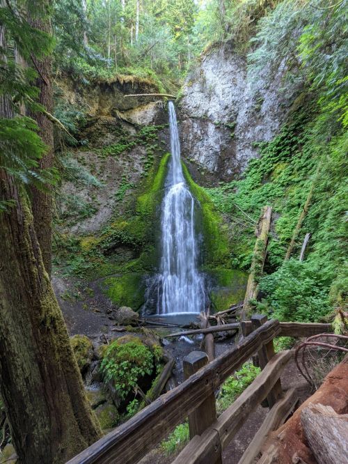 A serene waterfall cascades down a moss-covered cliff, surrounded by lush green trees and rocky terrain.