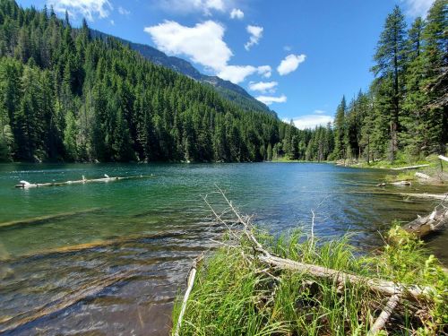 A serene lake surrounded by lush green trees and mountains under a clear blue sky.