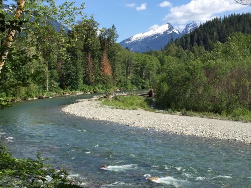 A serene river winding through lush greenery, with snow-capped mountains in the background under a clear blue sky.
