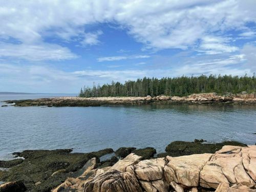 A serene coastal scene featuring rocky shores, calm waters, and a backdrop of trees under a partly cloudy sky.