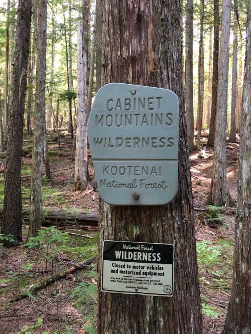 Sign on a tree indicating "Cabinet Mountains Wilderness" and "Kootenai National Forest" in a forested area.