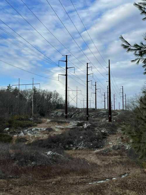 Power lines stretch across a rocky landscape under a cloudy sky, surrounded by sparse vegetation.