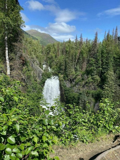 A scenic waterfall cascading through a lush green forest under a blue sky with scattered clouds.