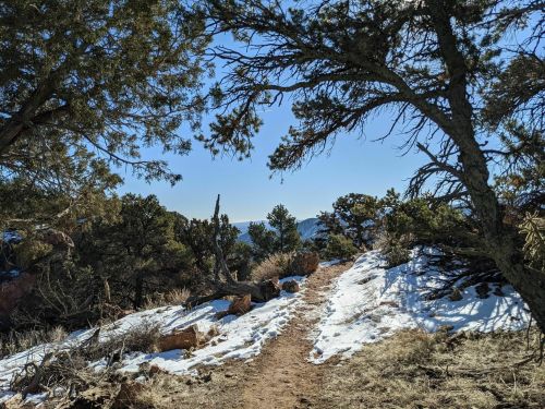 A dirt path winds through a snowy landscape, framed by trees and mountains in the distance under a clear blue sky.