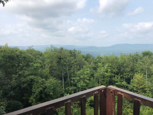 A scenic view from a wooden deck overlooking lush green trees and distant mountains under a cloudy sky.