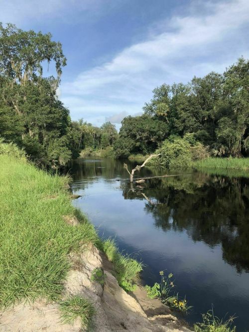 A serene river scene with lush greenery, reflecting trees and a clear sky, creating a peaceful natural landscape.