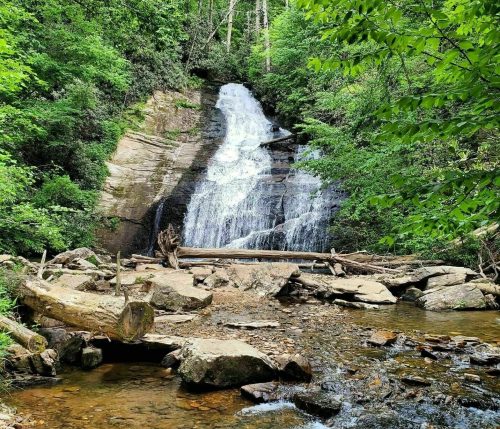 A serene waterfall cascades over rocky cliffs, surrounded by lush green trees and a tranquil stream below.