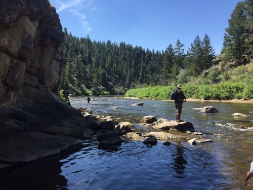 A person wades through a river surrounded by lush greenery and rocky banks under a clear blue sky.