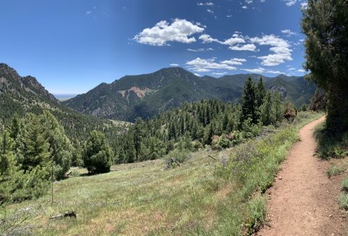 A scenic mountain landscape with a dirt path, lush greenery, and blue skies dotted with clouds.