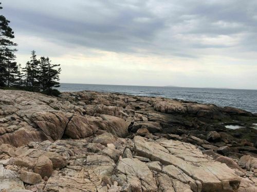 Rocky shoreline with scattered trees under a cloudy sky, overlooking a calm sea.