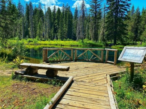 A wooden viewing platform by a serene lake, surrounded by tall trees and lush greenery under a bright blue sky.