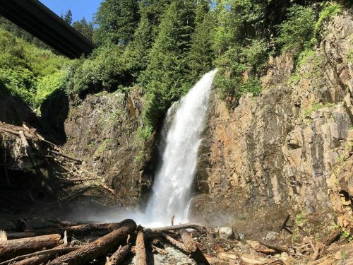 A waterfall cascades down rocky cliffs surrounded by lush greenery, with logs scattered in the foreground.