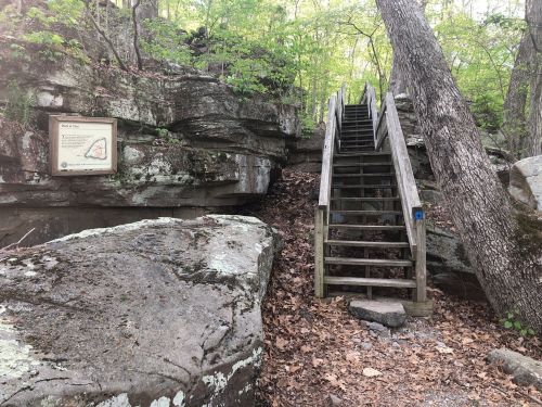 A wooden staircase leads up through a rocky area, surrounded by trees and fallen leaves. A sign is visible nearby.