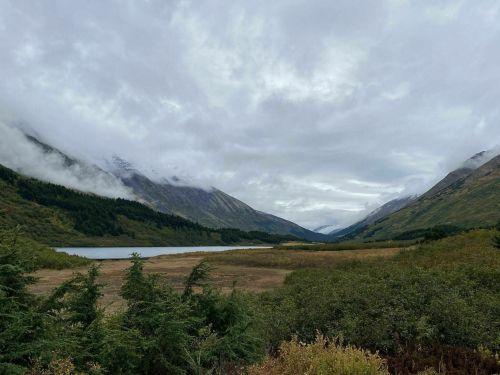 A serene landscape featuring a valley with mountains, a river, and overcast skies, surrounded by lush greenery.