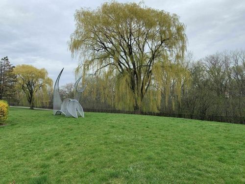 A large willow tree stands beside a modern metal sculpture on a grassy area under a cloudy sky.