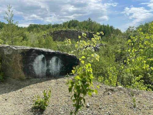 A rocky landscape with greenery, featuring a large boulder and trees under a partly cloudy sky.
