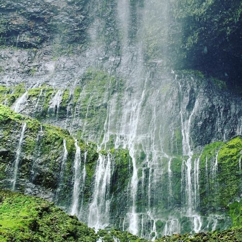 A lush green landscape featuring a cascading waterfall surrounded by rocky cliffs and mist.