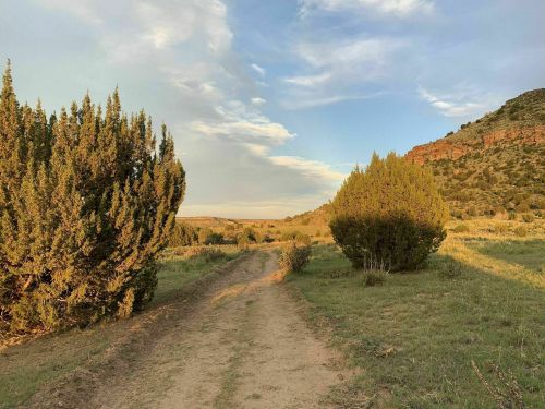 A dirt path winds through green fields, flanked by shrubs and hills under a blue sky with scattered clouds.