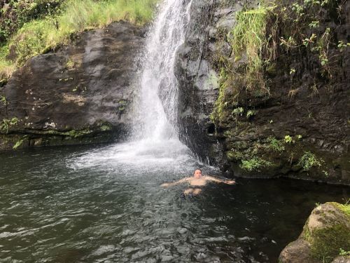 A person floats in a natural pool beneath a waterfall, surrounded by lush greenery and rocky terrain.
