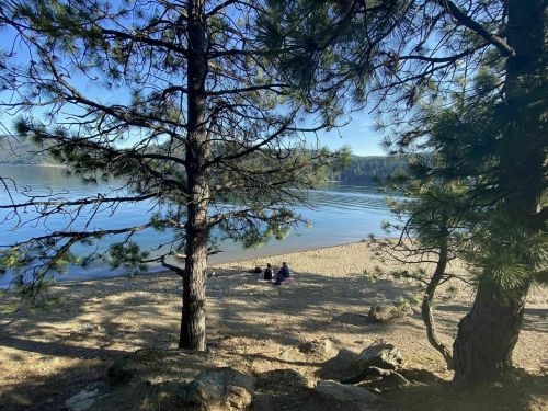Two people sit on a sandy beach by a calm lake, framed by tall pine trees under a clear blue sky.
