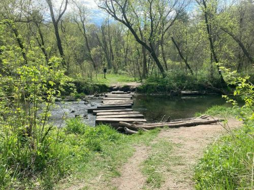 A serene forest scene featuring a wooden bridge over a stream, surrounded by lush greenery and trees.