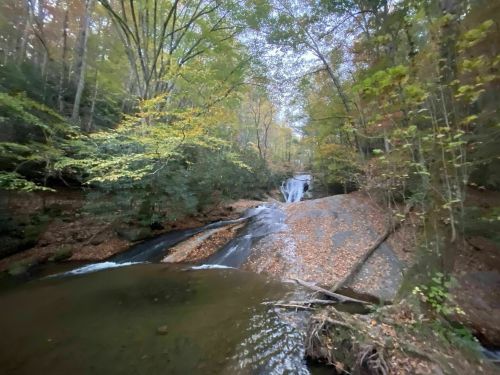 A serene forest scene featuring a waterfall cascading over rocks, surrounded by autumn foliage and a calm stream.