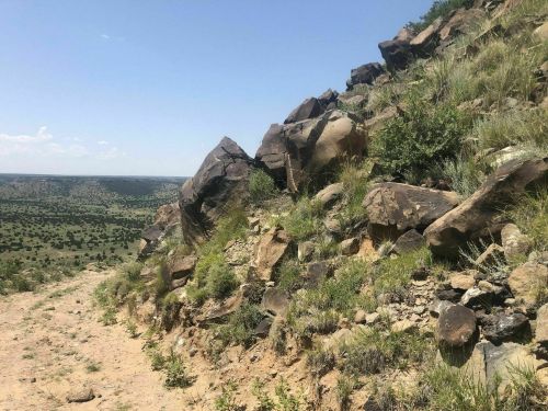 Rocky hillside with sparse vegetation and a clear blue sky in the background, overlooking a vast landscape.