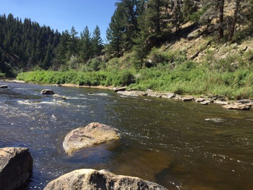 A serene river flows through a rocky landscape, surrounded by lush greenery and tall trees under a clear blue sky.