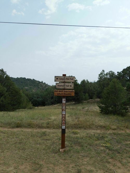 Trail signpost indicating Canyon Rim Trail and Overlook Trail, with a warning about trail use in muddy conditions.