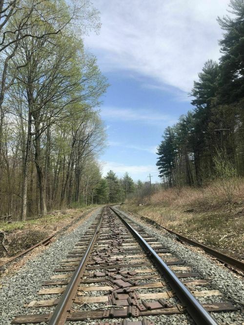 A view of railway tracks stretching into the distance, surrounded by trees and a clear blue sky.