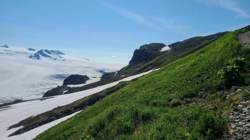 A scenic view of a green hillside leading to a snowy glacier under a clear blue sky.