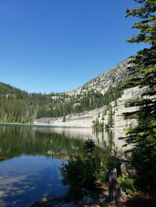 A serene lake surrounded by tall trees and rocky hills under a clear blue sky. Reflections shimmer on the water's surface.