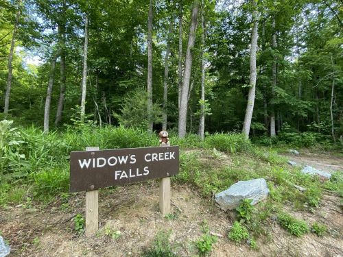 A sign for Widow's Creek Falls surrounded by trees and greenery, with a small stuffed animal on top of the sign.