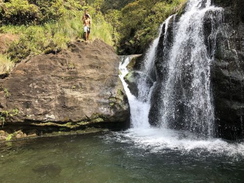 A person stands on a rock near a waterfall, surrounded by lush greenery and a clear pool of water below.