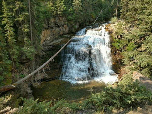 A serene waterfall cascades over rocks, surrounded by lush green trees and a fallen log across the scene.