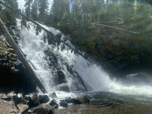 A cascading waterfall surrounded by lush greenery and rocky terrain under a bright blue sky.