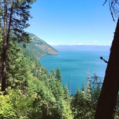 A scenic view of a lake surrounded by lush green trees and mountains under a clear blue sky.