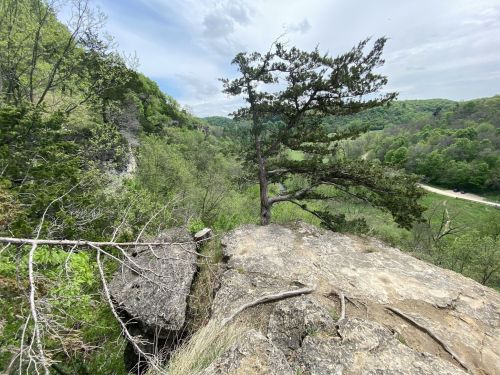 A rocky cliff with a lone tree overlooks a lush green valley and winding road below, under a cloudy sky.