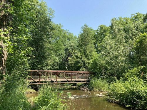 A wooden bridge spans a calm stream, surrounded by lush green trees and foliage under a clear blue sky.