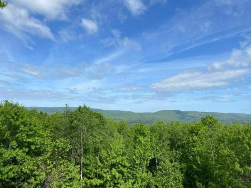 Lush green trees stretch across rolling hills under a bright blue sky with scattered clouds.