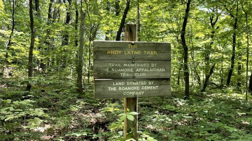 Wooden sign for the Andy Layne Trail, maintained by the Roanoke Appalachian Trail Club, in a lush green forest.