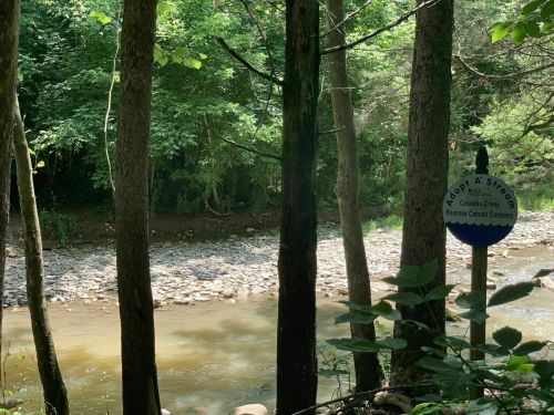 A serene creek surrounded by trees, with a sign indicating an "Adopt A Stream" program nearby.