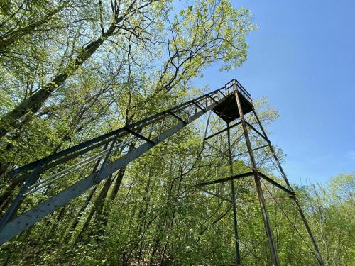 A tall metal observation tower surrounded by lush green trees under a clear blue sky.